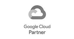 google cloud partner